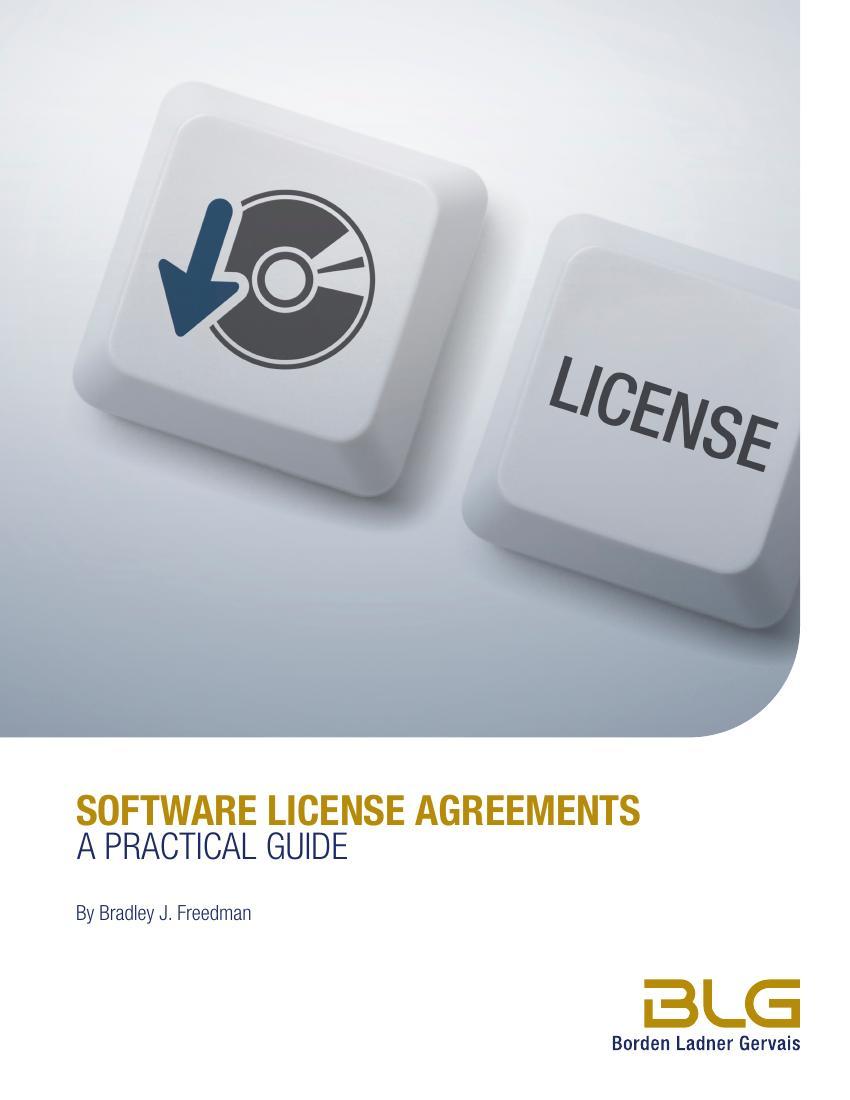 Software Licenses Practical Guide BLG